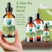 Green Coffee Bean Oil 236 ml Rich in Antioxidants Natural Moisturizer Versatile Use Bella Terra Oils  - Buy Online on SooperMarket.com