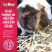 HayPigs Timothy Hay - Parent (1KG) 1 count (Pack of 1) - Buy Online on SooperMarket.com