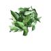 Organic Whole Air Dried Curry Leaves 0.3 oz - Premium Quality (10 g) - 0.3 Ounce Pack - Fresh and Aromatic - Buy Online on SooperMarket.com