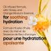 Jergens Nourishing Honey Moisturizer & Body Lotion for Dry Skin (620 mL) 620 ml (Pack of 1) Honey - Buy Online on SooperMarket.com