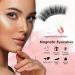 Magnetic Eyelashes without Eyeliner Magnetic Eyelashes Natural Look Reusable Magnetic Eyelashes 3D Magnetic Eyelash Partner Set No Glue Magnetic Lashes Waterproof Magnetic Eyelashes with Applicator - Buy Online on SooperMarket.com