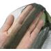 Moskito Mask Set - 4 Pcs Insect Protection Head Net for Beekeeping Fishing & Outdoor Enthusiasts - Buy Online on SooperMarket.com