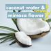 Love Beauty and Planet Silicone-Free Thickening Conditioner for Fine Hair - Coconut Water & Mimosa Flower - Reusable Aluminum Bottle 16.5 fl oz - Buy Online on SooperMarket.com