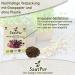SaatPur ORGANIC Sprouts Assortment | 4 Varieties: Red Energy Mix Radish Red Cabbage Basil Beetroot - International Shipping Available - Buy Online on SooperMarket.com