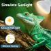 LUCKY HERP 150W Reptile Heat Bulb Basking Spot Heat Lamp for Reptiles Vivarium Light for Amphibian Chicks Dog Heating Use 150W 1 Pack - Buy Online on SooperMarket.com