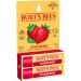 Burt's Bees Strawberry Lip Balm 2 Pack - 100% Natural Moisturizing Lip Care - Buy Online on SooperMarket.com