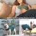 Sychien Dog Thunder Jacket Calming Anxiety Shirt Thunder Vest for Extra Large boy Girl Dogs Labrador Green XXL XXL Green - Buy Online on SooperMarket.com