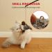 Gigwi Interactive Cat Toys: Squeaking Melody Chaser for Solo Play - Fun and Stimulating Kitten Toy for Boredom Birds - Buy Online on SooperMarket.com