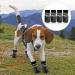 Valicaer Paw Protector Dog Boots Set of 4 Dog Shoes for Injured Paws Silicone Anti Slip Dog Paw Protectors Adjustable Socks Shoes for Small Medium Large Dogs Soft and Waterproof Dog Booties - Buy Online on SooperMarket.com