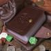 Pocket Compendium Tome of Recollection - RPG Spellbook & Reference Card Holder with Customizable Player Cards - Buy Online on SooperMarket.com