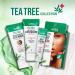 Kiss New York Tea Tree Oil Moisturizer for Oily Skin 3.38 Fl Oz - Korean Skin Care Formula - Buy Online on SooperMarket.com