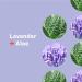 Everyone for Every Body Hand Sanitizer Spray - Lavender and Aloe - 2 oz (6 Pack) - 12 fl oz - Buy Online on SooperMarket.com