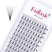 Volume eyelashes 10d 0.07mm D curl 12mm eyelash volume eyelash extensions eyelash volume artificial eyelashes of course permanently lashes 12mm 10d-0.07-d