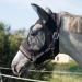 Harrison Howard Super Comfort Stretchy Fly Mask Large Eye Space with UV Protection Soft On Skin With Breadity Black M Medium Black