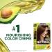 Garnier Nutrisse 452 Dark Reddish Brown Hair Dye 3-Pack - Chocolate Cherry Shade - Buy Online on SooperMarket.com