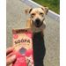 Soopa Cranberry and Sweet Potato Dental Dog Treats Vegan Grain Free Made in Ireland 3 Pack (12 Sticks) Cranberry and Sweet Potato 3 Pack (12 Sticks) - Buy Online on SooperMarket.com