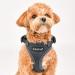 Puppia Ritefit Dog Harness for Small to Medium Dogs - Adjustable Soft & Versatile - Atani Train Dishes for Dogs Royal Blue XL - Buy Online on SooperMarket.com