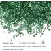 FRCOLOR 1 Glass Chip Nail Punk Ornament Crafts Colored Glass Vase Nail Art Crushed Glass Epoxy Filler Charms Nail Art Jewels Metal Filler Epoxy Crushed Glass 3d Crystal Jewelry Drill 0.5X0.3cm Green - Buy Online on SooperMarket.com