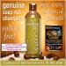 NaturOli Extreme Soap Nut Shampoo for Normal to Dry Hair - 16 oz (474 ml) - Buy Online on SooperMarket.com