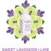 Sapadilla Sweet Lavender + Lime Biodegradable Dish Soap - 16 oz (Pack of 1) - Buy Online on SooperMarket.com