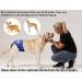 Nature Pet Funeral Pants for Bitches 2.0 - Soft Hygienic Dog Diapers | No Annoying Threading | Large Black (L-L 8) | Ideal for Male Dogs with Incontinence - Buy Online on SooperMarket.com