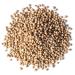 Organic Coriander Seeds 6oz - Non-GMO Whole Spice for Garam Masala & Curry - High Fiber & Minerals - Vegan & Non-Irradiated - Buy Online on SooperMarket.com