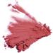 Color Pro Blush Fine Wine (10941) - Vibrant and Long-Lasting Cheek Color - Buy Online on SooperMarket.com