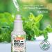 Mighty Mint 16oz Natural Peppermint Oil Spray - Cockroach Repellent - Buy Online on SooperMarket.com