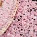 Vorey 500Pcs 3D Pink Multi Shapes Pearls Nail Charms - Nail Art DIY Crafts and Jewelry Accessories - Buy Online on SooperMarket.com