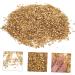WOONEKY 1 Glass in Bulk DIY Crafts Bulk Epoxy Resin Mini Wooden Decorations Vintage Glass Vintage Bud Irregular Glass Glitter Manicure Fillers Bulk Chips Accessories Nail 0.5X0.3cm Golden - Buy Online on SooperMarket.com