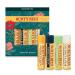 Burt's Bees Beeswax Bounty Assorted Set - Natural Lip Balm Collection - Buy Online on SooperMarket.com