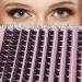 Bransfy Cluster Lashes D Curl 100 Pcs | Reusable & Natural Look False Eyelashes | DIY Eyelash Extension Kit | Super Thin Band | Soft & Comfortable | 8-16mm | B03-0.07 D - Buy Online on SooperMarket.com