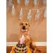 Lionet Paws Dog Bandana - Triangular Headscarf for Small Medium & Large Dogs - Orange Size L (Pack of 1) - International Shipping Available - Buy Online on SooperMarket.com