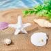 4-Piece Starfish & Shell Hair Clip Set for Women & Girls - Mermaid Crown Accessories - Buy Online on SooperMarket.com