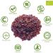 Dried ROSEHIPS Organic Shells | Natural Vitamin C | 1 KG BIO - Buy Online on SooperMarket.com