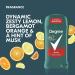 Degree Men Sport Antiperspirant Deodorant 2.7 oz - Pack of 6 | 48-Hour Sweat and Odor Protection - Buy Online on SooperMarket.com