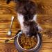 2 Pc Stainless Steel Pet Can Spoons - White & Black Cat Claw Spoon for Dog and Cat Food Cans - Buy Online on SooperMarket.com