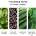 Molton Brown Re-Charge Black Pepper Shower Gel - Buy Online on SooperMarket.com