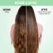 Nykaa Naturals Amla & Curry Leaves Hair Oil - Prevents Hair Loss, Strengthens Roots - 100% Natural, Sulphate Free - 200ml - Buy Online on SooperMarket.com