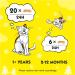 Dreamies Variety Stocking Adult Cat Treats 5 x 30g bags (1 X Stocking) 150 g (Pack of 1) - Buy Online on SooperMarket.com