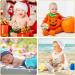 16-Piece Floral Wooden Baby Monthly Milestone Cards - Double-Sided Baby Months Signs for Newborn Photo Props - Fresh Flowers Design - Buy Online on SooperMarket.com