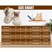 Dookeh Baby Shoes | Non Slip Soft Sole Sneakers for Boys & Girls | 6-9 Months | Brown - Buy Online on SooperMarket.com