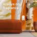 Glade PlugIns Vanilla Caramel Twist Air Freshener Refills - 1.34 Fl Oz, 2 Count - Buy Online on SooperMarket.com