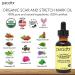 PURA DOR Organic Scar & Stretch Mark Treatment Oil | 1oz For Skin - Rosehip, Wheat Germ, Argan, Tamanu, Carrot, Rosemary, Lavender, Geranium, Patchouli, Sage - Buy Online on SooperMarket.com