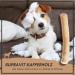 Supravit Natural Coffee Wood Chewing Bones for XS Puppies | Long-Lasting Play & Excitement | Caustab Puppy Chew Toys - Buy Online on SooperMarket.com