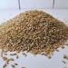 Purchase Premium 1000g Whole Grain Green Spelt from R tze Mill - Fresh & High Quality - Buy Online on SooperMarket.com