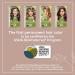 Naturtint 5GC Deep Cinnamon Chestnut Hair Color - Ammonia-Free, Vegan, Cruelty-Free | 100% Gray Coverage, Long-Lasting Results - Buy Online on SooperMarket.com