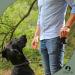 Dogster Treat for Dogs - Convenient Snack Bag with Carabiner | Quick Rewards for Your Pup - DOG01 - Buy Online on SooperMarket.com