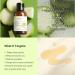 Buy Cocoon Winter Melon Cleanser (10.48 fl oz) | Hydrating & Soothing | International Shipping Available - Buy Online on SooperMarket.com