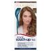 Clairol Root Touch-Up Permanent Hair Dye 6 Light Brown 6 Light Brown 1 count (Pack of 1) Single